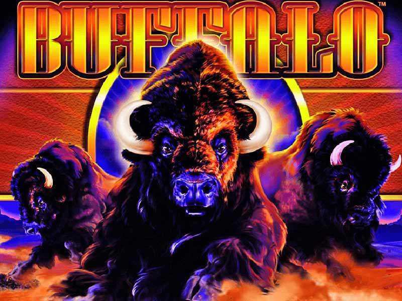 Buffalo Online Pokie Review