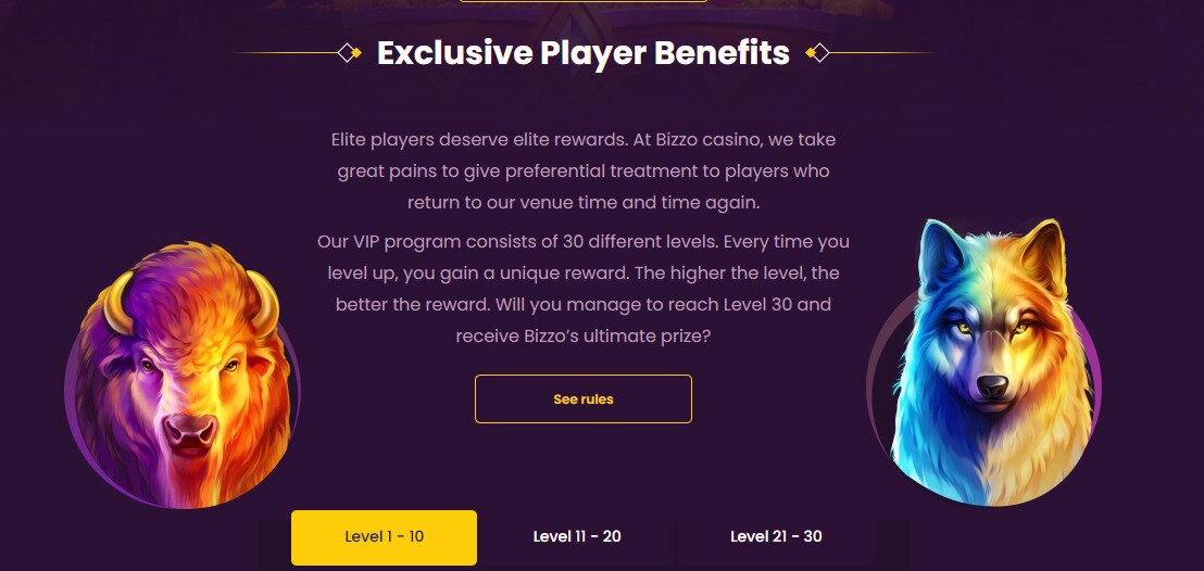 bizzo casino