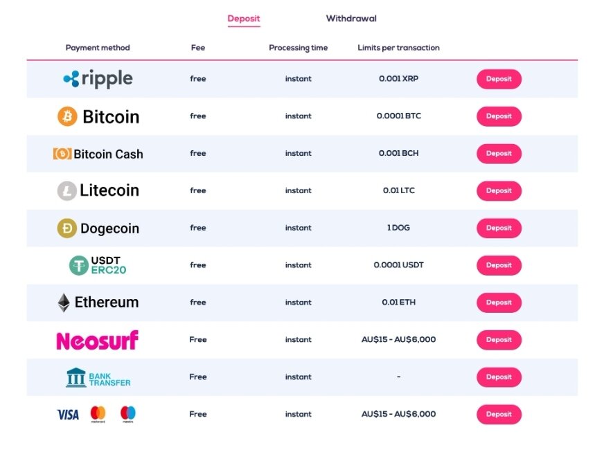 wild fortune casino payment methods