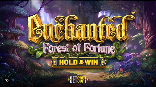 Enchanted: Forest of Fortune Review