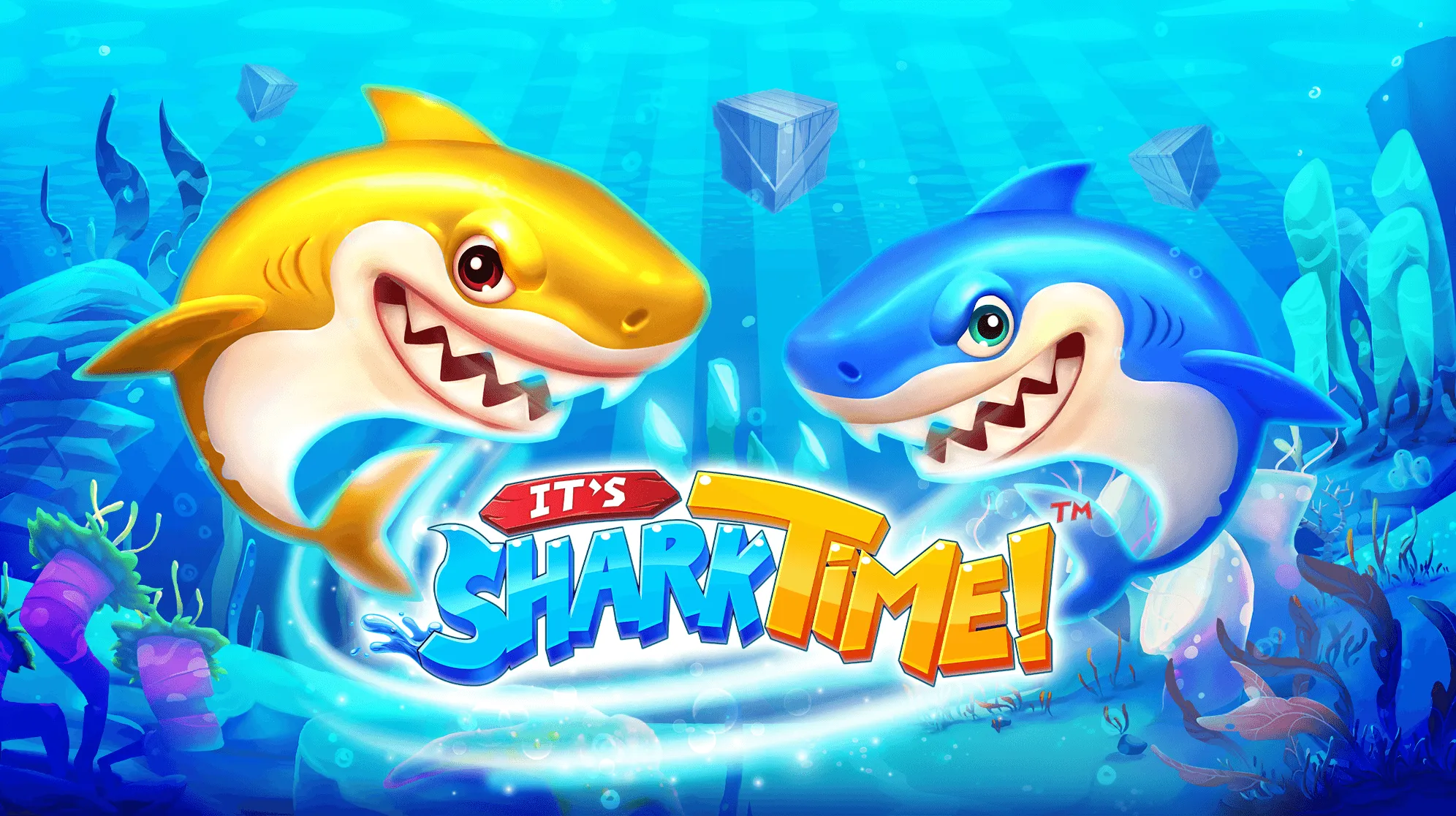 Its Shark Time Logo